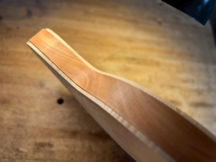 Arcus Archtop - Organic Texture